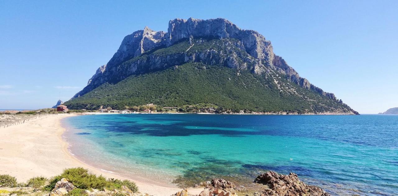 Iss Travel, Sea View Apartment Il Corbezzolo - Ground Floor With Air-Condition San Teodoro (Sardinia) Exterior foto